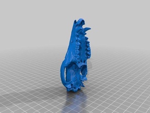 opossum cranio biologia 3d print model - Mito3D