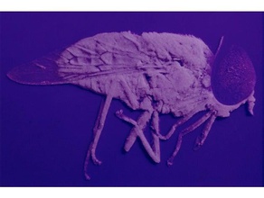 insecto 3d art 3dlito avispa cool volare insetto mosca alleviare 3d print model - Mito3D
