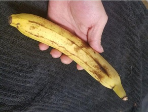 scan à haute résolution de la banane oui accessoires Numérisation 3d fruits nextengine numérisation légumes 3d print model - Mito3D
