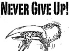 never give up - plaque art bird frog quote quotes 3d print model - Mito3D
