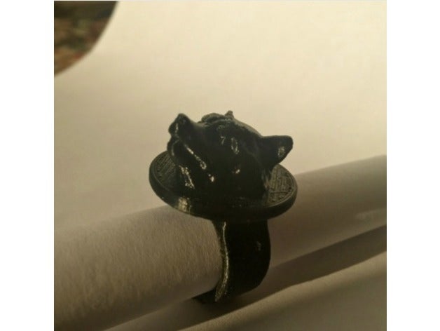 rocket raccoon anillo los anillos selfcad el cohete 3D print model - Mito3D