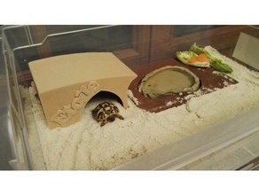 kaplumbağa evi evcil hayvan kameya maison tortoise tortue 3d print model - Mito3D