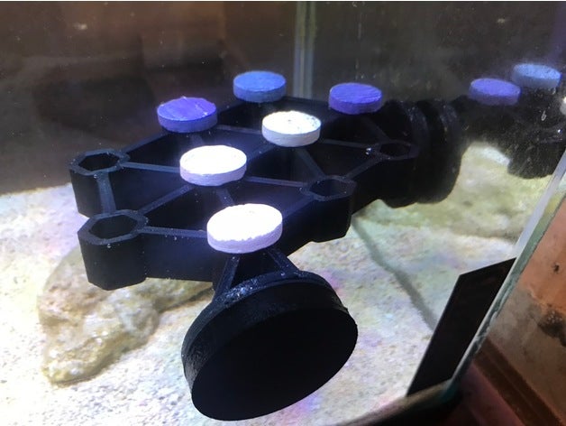 coral frag rack angolo hobby l'acquario il corallo frag-plug 3D print model - Mito3D