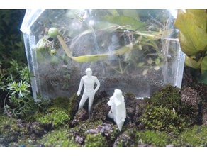 banlieue est banksia gommage de la biologie miniture nature science 3d print model - Mito3D
