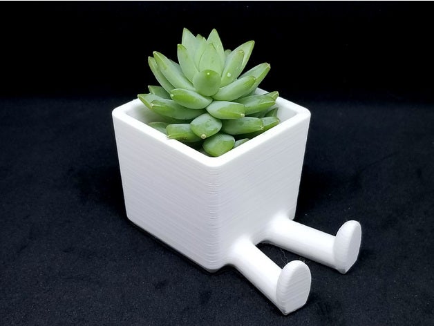 succulent planter 3d printed legged decor cactus customized decoration diy flower pot vase gift planters succulents 3D print model - Mito3D
