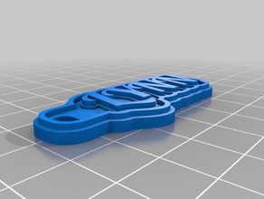 lynn Schlüsselanhänger kundengebundene 3d print model - Mito3D