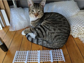 Katze Abschreckung spike-Streifen Haustiere cat 3d print model - Mito3D