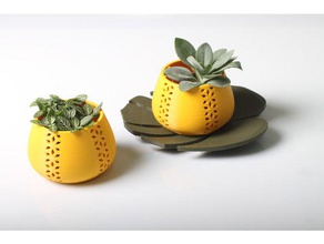 giungla pentola supporto di candela famiglia dagoma la decorazione fiore casa pianta piante pot il vaso 3d print model - Mito3D