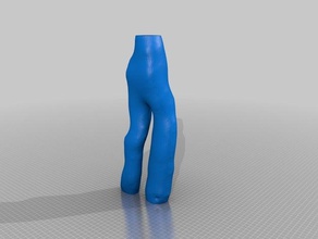 arteria vano fistola biologia vana 3d print model - Mito3D