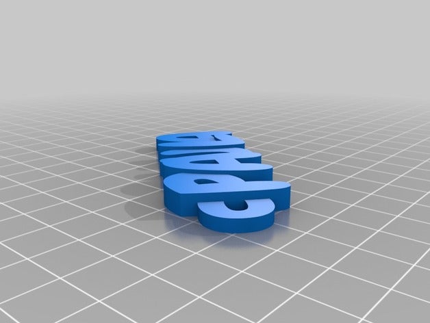 paula organizasyon özelleştirilmiş 3D print model - Mito3D