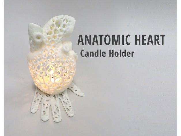 anatomisches Herz-Kerze-Halter Haushalt 3d-Drucker Kerze Kerzenhalter Kerze-Halter design Geschenk Herz das menschliche Bio voronoi 3D print model - Mito3D