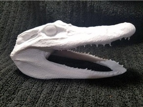 high resolution scan florida alligator head animals replica reproduction 3d print model - Mito3D
