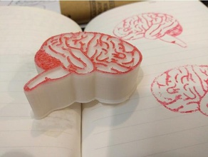 Gehirn Briefmarke 3d-drucken 3d print model - Mito3D