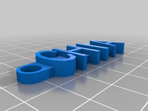 Schlüsselanhänger chia - Organisation kundengebundene 3d print model - Mito3D