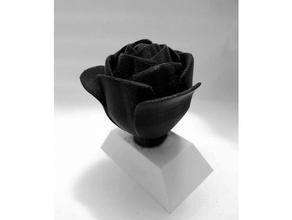 dual color rose trophy sculptures art customized customizer 3d print model - Mito3D