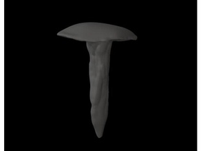 a luz de cima do cogumelo exterior e jardim flor fungos spike 3d print model - Mito3D