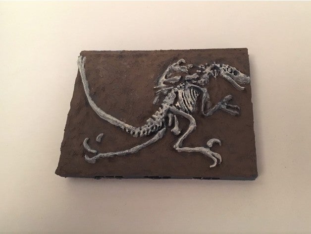 minyatür fosil openlock Bankası velociraptor oyuncaklar ve oyunlar mağara dinozor zindan dungeons dragons fantezi mm pathfinder rpg prop iskelet 3D print model - Mito3D