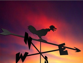 amusing weather vane my shed gnamp outdoor & garden dmcg weathercock 3d print model - Mito3D