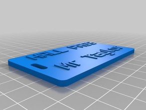 taylor hall pass organización personalizado 3d print model - Mito3D