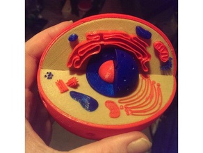 multicolored cell biology 3d print model - Mito3D