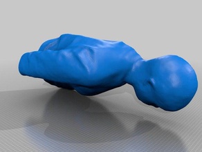 doble cara las esculturas Escaneo 3d scan escultura de voronoi 3d print model - Mito3D