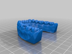 dental learning teeth 3d print model - Mito3D