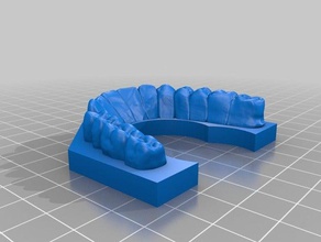 2 diş modeli modelleri 3d print model - Mito3D