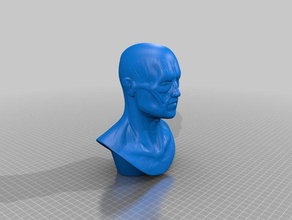 cara muscular de referência da estrutura esculturas cabeça humana 3d print model - Mito3D
