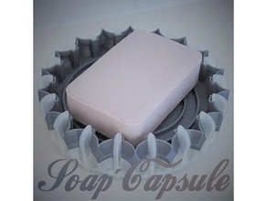 soap capsule bathroom porte savon porte-savon salle bain dish holder voyage 3d print model - Mito3D