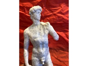 statue de david goonies membre à l'envers sculptures florence drôle gag italie michel-ange film prop la sculpture souvenirs venise 3d print model - Mito3D