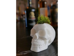 crâne moss mohawk hairstyle sculptures de la mousse le 3d print model - Mito3D