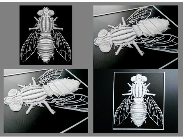 mosca 3d Kunst 3dlito Zeichnung Fliegen Insekt die Erleichterung entlasten 3D print model - Mito3D