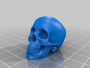 skull low res printable closed mesh physics & astronomy human 3d print model - Mito3D