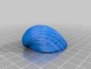 concha de mar sólido biología seashell shell 3d print model - Mito3D