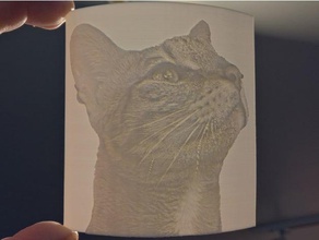 savannah kedi lithophane sanat lithopane fotoğraf resim 3d print model - Mito3D