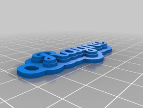 rayne portachiavi i su misura 3d print model - Mito3D