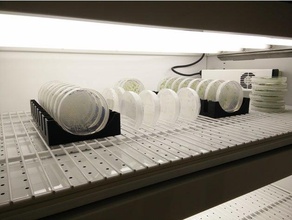 vertical de la placa petri titular biología biotech biotecnología plantas 3d print model - Mito3D