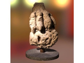 kesik başı tarama ve kopyaları 3dprinting 3dscan 3dscanning 3d baskı 3 Boyutlu Tarama büstü kültürel miras Yunan baş aslan piyon Roma üzücü heykel kopmuş 3d print model - Mito3D