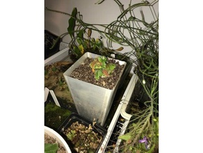 grand pot extérieur et jardin cephalotus de fleur la jardinière plante en 3d print model - Mito3D