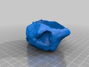 meteorito maceta La impresión en 3d de flores bote la olla 3d print model - Mito3D
