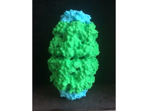 groel-groes complex biology protein 3d print model - Mito3D
