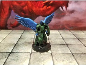 aarakocra collezione giochi bird uccelli d&d dnd dungeons dragons fighter di gioco monaco ranger 3d print model - Mito3D