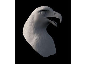 golden eagle Biologie 3d print model - Mito3D