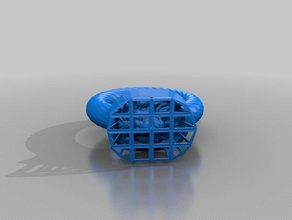 ring caged lion rings 3d print model - Mito3D