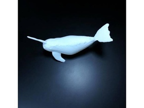 narwhale Tiere Tier genial contest myminifactory Narwal 3d print model - Mito3D