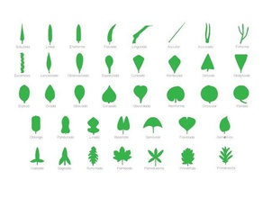 montessori tam Botanik 12 bulmaca kabine 38 leafs lazer kesim ayarlayın öğrenme 3d print model - Mito3D