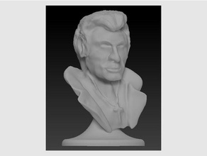 johnny halliday petto sculture umana la scultura 3d print model - Mito3D