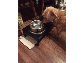 dog bowl platform pets dog bowl