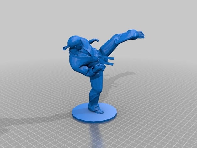 pateador de tkd La impresión en 3d patadas el taekwondo 3D print model - Mito3D