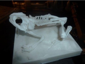 rana scheletro remix lordlilapause scansioni & repliche 3d print model - Mito3D